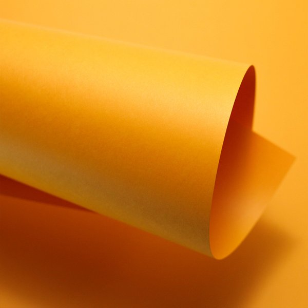 color plus jamaica 180g