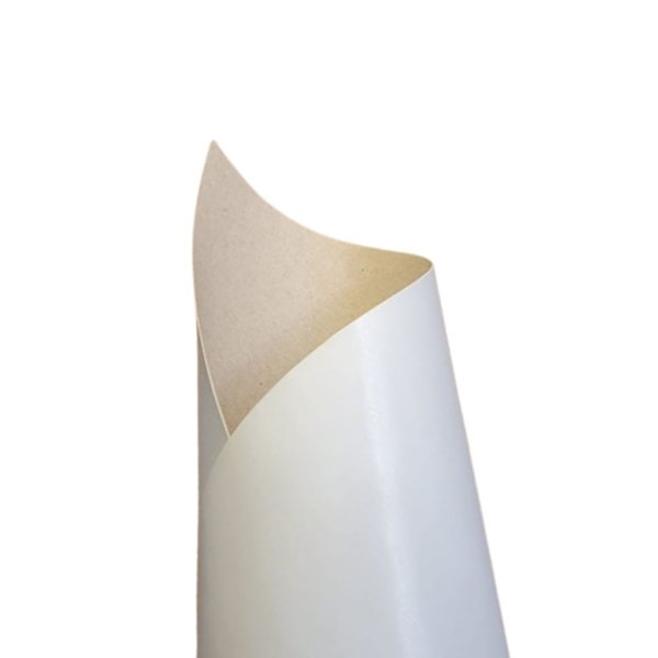 cartao duplex 250g e 400gs